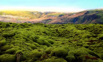 Eldhraun mossy lava field with mountains and far away waterfalls in the background. 