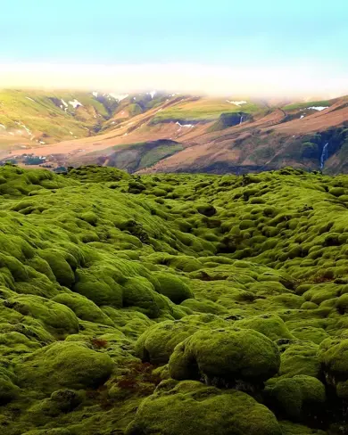 Eldhraun mossy lava field with mountains and far away waterfalls in the background.