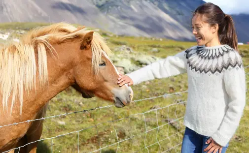 Smiling woman in traditional Icelandic sweater petting a chestnut Icelandic horse in a scenic mountain valley