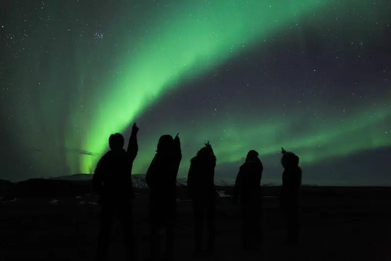 A group of people silhouetted against the night sky, watching the Northern Lights during an Icelandic tour, showcasing the breathtaking natural phenomenon in a dark starry sky.