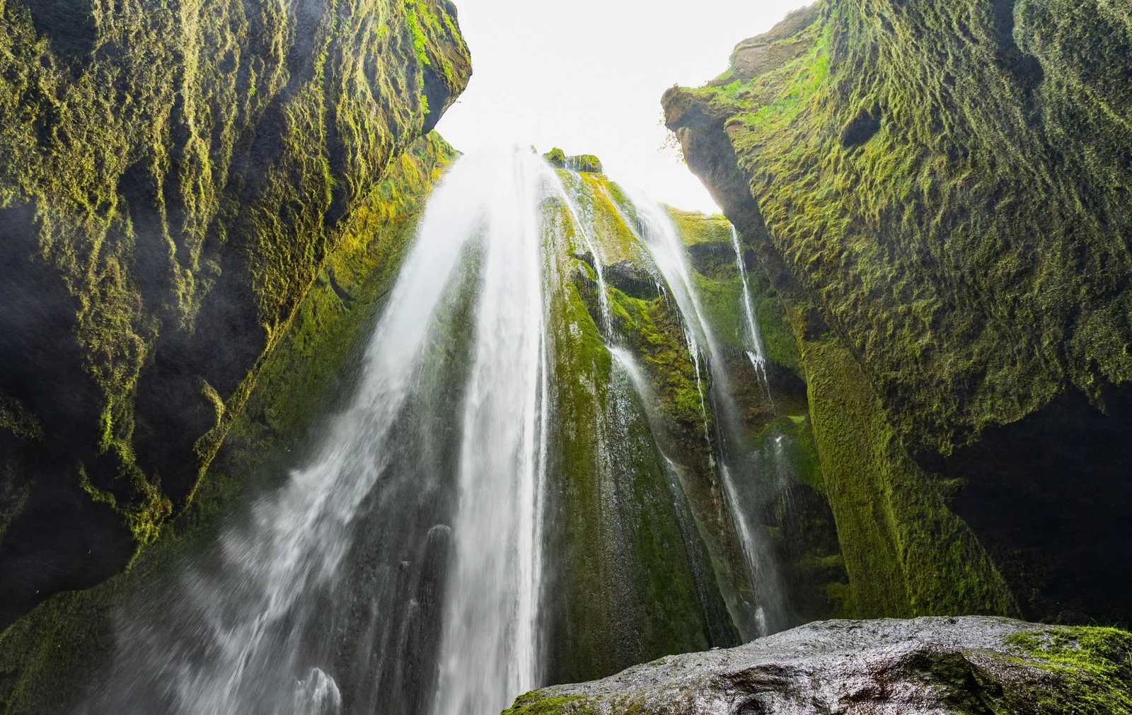 Gljúfrabúi Waterfall cascading down moss-covered cliffs inside a hidden gorge in South Iceland, seen from below.