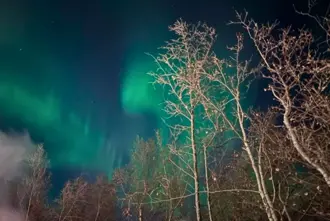 Forest Lagoon Skogarbodin With Northern Lights In Green Above The Bare Trees Large