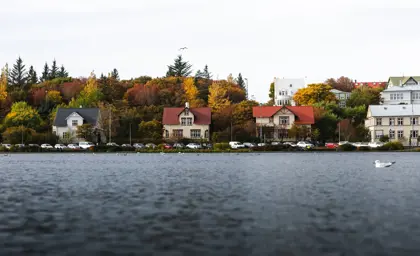 View of Tjörnin Lake, pond in Reykjavik, with houses in the far background nestled within trees in background.