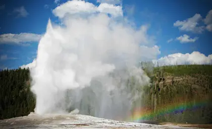 Old Faithful geyser in Yellowstone National Park with a rainbow in the background.