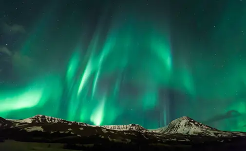 Northern Lights dancing over Esjan mountain during a Northern Lights hunt tour in Iceland, with a starry sky and snow-covered peaks