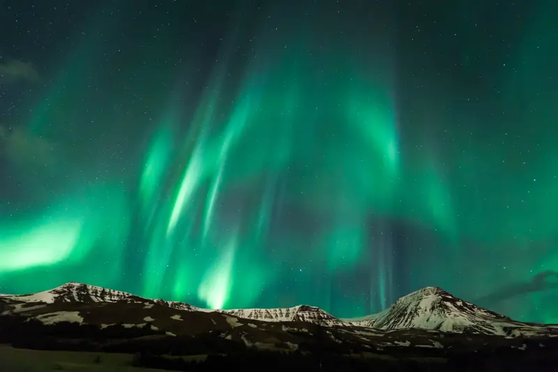 Northern Lights dancing over Esjan mountain during a Northern Lights hunt tour in Iceland, with a starry sky and snow-covered peaks