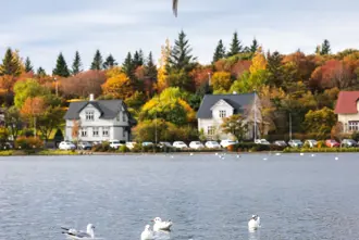 Lake Tjörnin on Reykjavík with seagulls in the water.