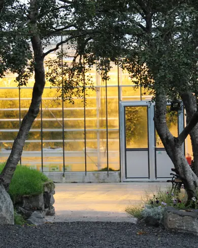 Friðheimar tomato farm outside the greenhouse with two trees by the entrance.