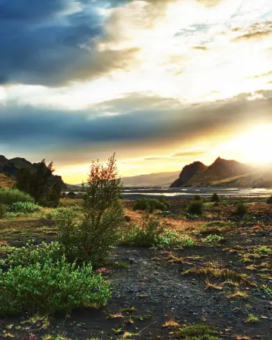 Majestic Icelandic landscape under the midnight sun, with lush greenery and mountains in the distance.