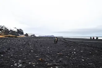 Vikurfjara beach in winter with people walking and horsebackriding iceland.