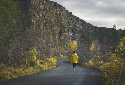 Ásbyrgi in north Iceland with a person walking on road surrounded by trees.