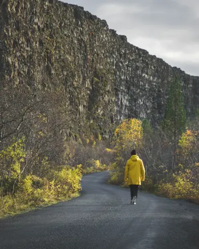 Ásbyrgi in north Iceland with a person walking on road surrounded by trees.