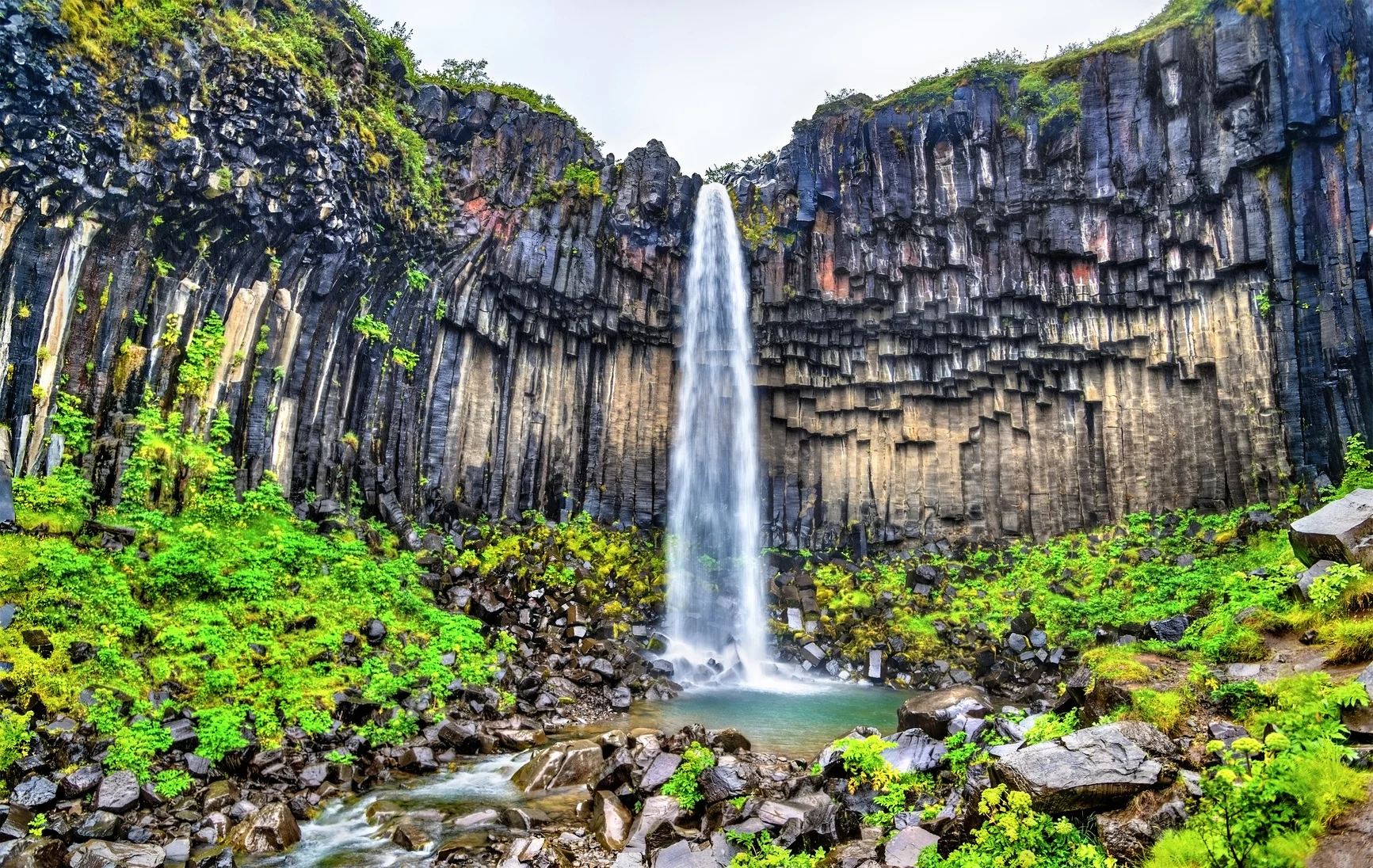 Svartifoss waterfall in Skaftafell National Park with black basalt columns with moss and greenery around.