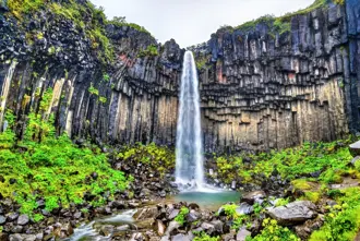 Svartifoss waterfall in Skaftafell National Park with black basalt columns with moss and greenery around.