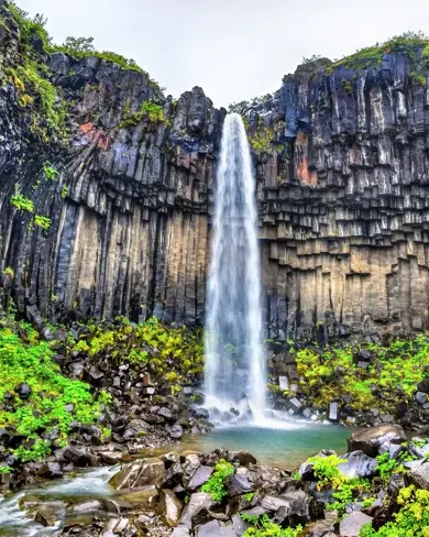 Svartifoss waterfall in Skaftafell National Park with black basalt columns with moss and greenery around.