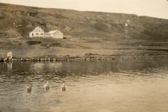 Vintage photo of the Secret Lagoon, Gamla Laugin, in Flúðir, Iceland, showing an old house by the water with people swimming in the calm geothermal pool.