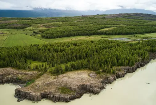 Aerial view of the lush green forest along Lagarfljót river near Egilsstaðir, East Iceland, with rolling hills and tranquil waters, showcasing the natural beauty of Iceland.
