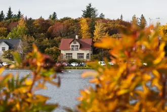 Lake Tjörnin pond in Reykjavík with views through trees and house in the background.