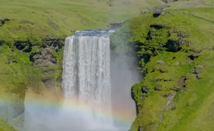 Skógafoss waterfall in south Iceland with rainbow and green mossy ground around.